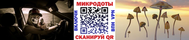 Купить  Дедовск  Галлюциногенные грибы прущие грибы 